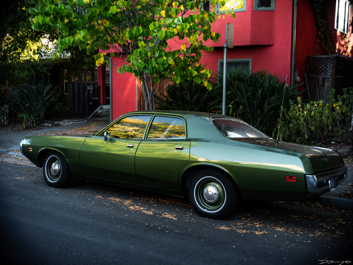 Pretty things that I wanted to take pictures of around Berkeley in 2023.
